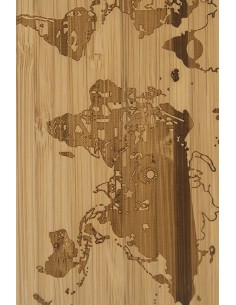 Cellphone Case - iPhone 14