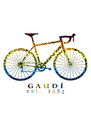 Camiseta Kids - Bici Gaudi
