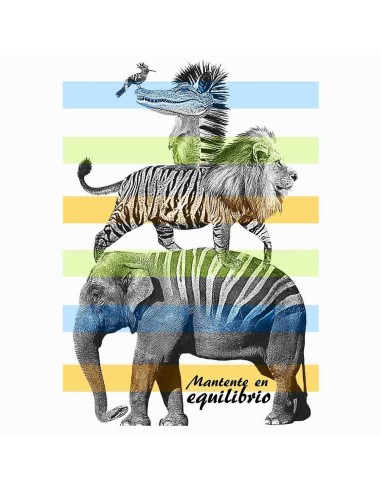 Camiseta Mujer - Mantente en equilibrio