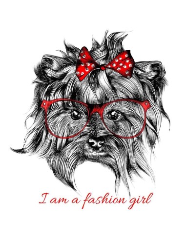 Women's T-shirt - Yorkshire