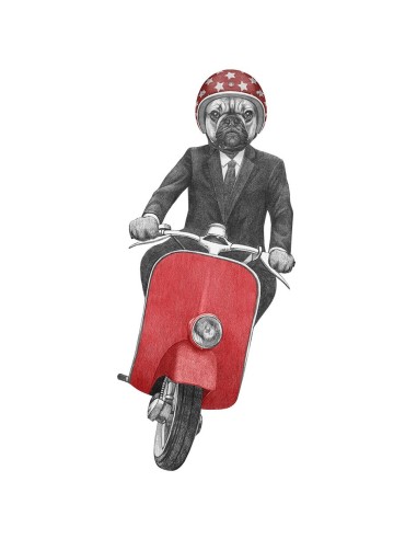 Camiseta Unisex  - Perro Vespa