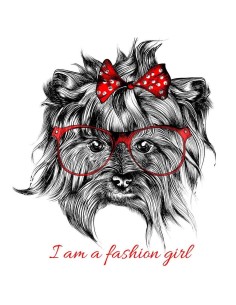 Camiseta Mujer - Yorkshire 2