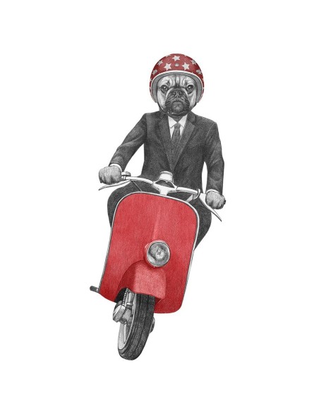 Unisex Sweatshirt - Vespa Dog