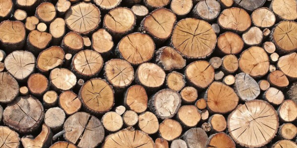 The different types of wood we use at Wood World Barcelona