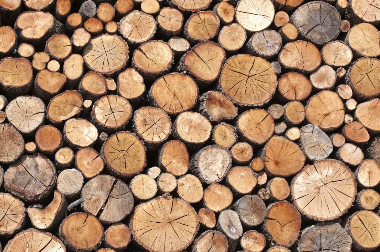 Los distintos tipos de madera que utilizamos en Wood World Barcelona